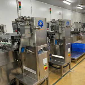 MÁY DISPENSER CẮT CẤP GÓI GIA VỊ DẠNG DÂY LIỀN CHO DÂY CHUYỀN SẢN XUẤT MÌ TÔ MÌ LY